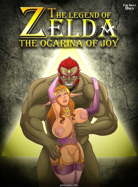 The Legend of Zelda – Ocarina Of Joy 1