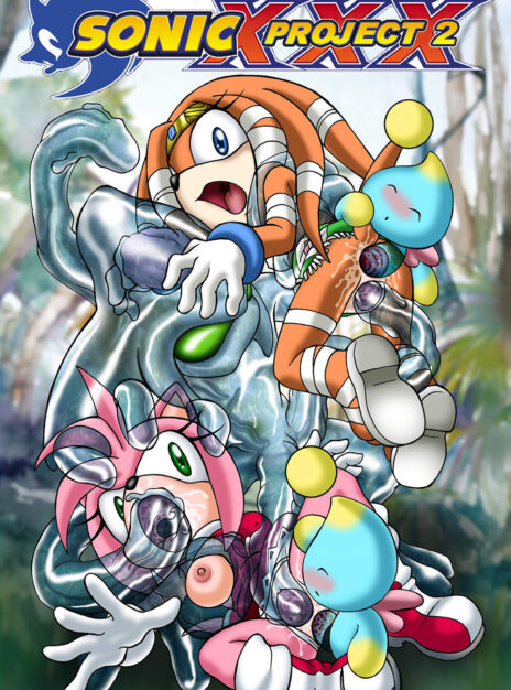Sonic XXX – Project 2