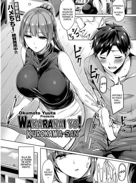 Wakaranai yo! Kurogawa-san